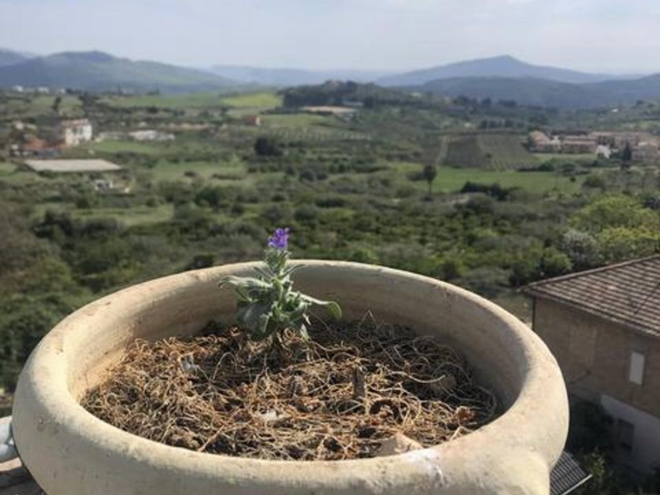 Byhus i Cianciana, Agrigento - foto 5